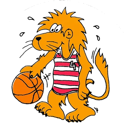 Hessischer Basketball Verband